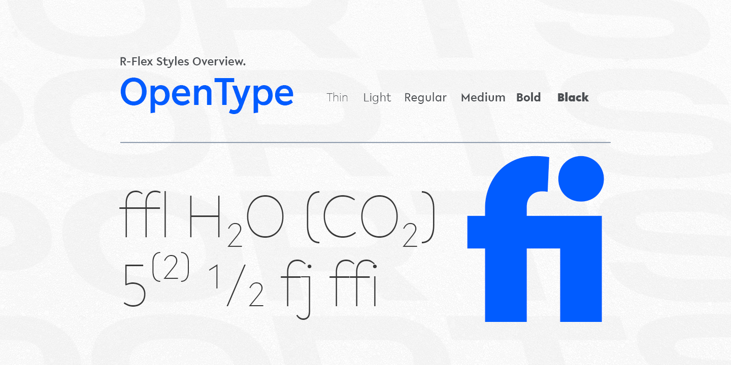 R-Flex Thin Italic Font preview